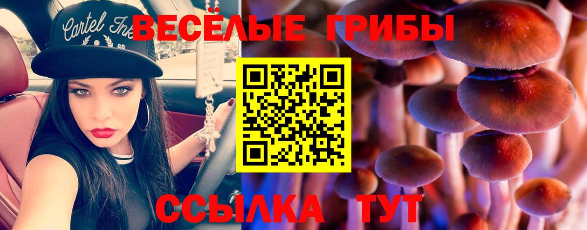 Галлюциногенные грибы мухоморы Бугуруслан