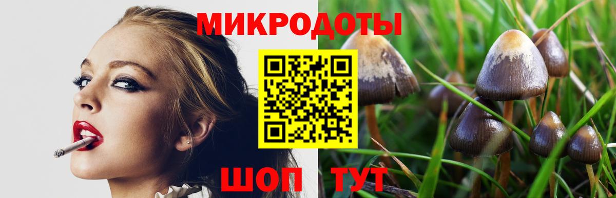Галлюциногенные грибы Psilocybe  Вход с VPN  Бугуруслан 